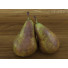 Fruits Bananas, Apples, Pears, Lemon, Mango, Pomegranate - Architect-procheap23