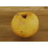 Fruits Bananas, Apples, Pears, Lemon, Mango, Pomegranate - Architect-procheap23