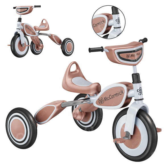 Rower Tricycle for Kids model 3D