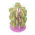 Candies Lollipops on the Stands - Kudim