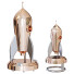 Głośniki Cosmotron Bronze - Kudim