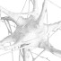 Zelle Nerve - Kudim