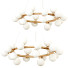 Lustre Arte Lamp Bolla Piccolo - Telecona
