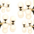 Lustre Arte Lamp Mimosa 16-light - Telecona