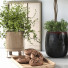 Декор Flowerpots and Vases Set 19 - moyarahmadi1