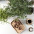 Декор Flowerpots and Vases Set 19 - moyarahmadi1