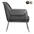 Крісло Contemporary Leather Metal Frame Club by Hamilton Home - Isomiddinvfx1995