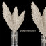 Bukiet Pampas 6 - srhtyucel