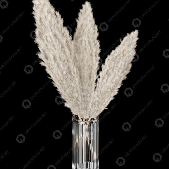 Bukiet Pampas 6 model 3D