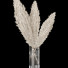 Bukiet Pampas 6 - srhtyucel