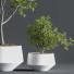 Pots de fleurs Indoor Set Plant 08 - nasrinrad
