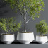 Pots de fleurs Indoor Set Plant 08 - nasrinrad
