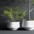 Pots de fleurs Indoor Set Plant 08 - nasrinrad