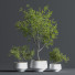 Pots de fleurs Indoor Set Plant 08 - nasrinrad