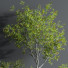 Pots de fleurs Indoor Set Plant 08 - nasrinrad