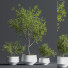 Pots de fleurs Indoor Set Plant 08 - nasrinrad