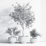 Pots de fleurs Indoor Set Plant 08 - nasrinrad