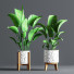 Blumentöpfe Indoor Set Plant 09 - nasrinrad