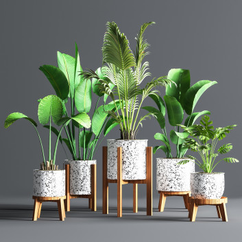 Blumentöpfe  Indoor Set Plant 09 3D-Modell