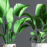 Blumentöpfe Indoor Set Plant 09 - nasrinrad