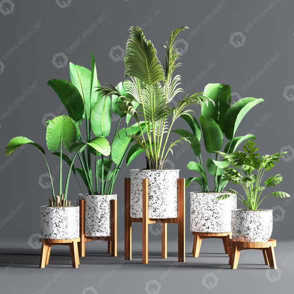 Blumentöpfe Indoor Set Plant 09 3D-Modell