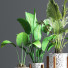 Blumentöpfe Indoor Set Plant 09 - nasrinrad