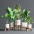 Blumentöpfe Indoor Set Plant 09 - nasrinrad