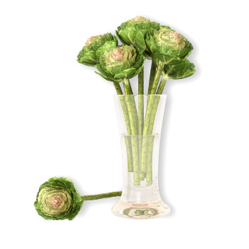 Blumenstrauß  Brassica 3D-Modell