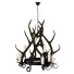 Chandelier Horns - Kudim