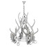 Chandelier Horns - Kudim