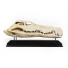 Statuette Crocodile - Kudim