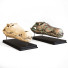 Statuette Crocodile - Kudim