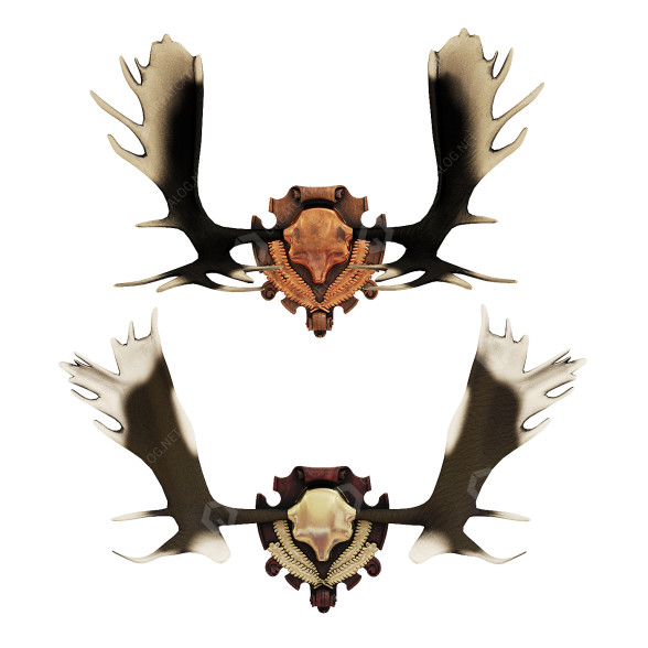 Dekor Elk Antler 3D-Modell
