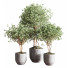 Blumentöpfe Innenset Zimmerpflanzen 13 - nasrinrad