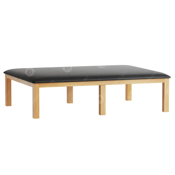 Лава Hausmann Bariatric Upholstered Mat Platform 3D модель