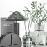 Decoración Set 9 - srhtyucel