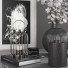 Decoración Conjunto 10 - srhtyucel