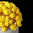 Bukiet Yellow Dry Flowers Craspedia Cluster - ixtiyorallakulov
