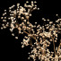 Blumenstrauß Trockene Blume - ixtiyorallakulov