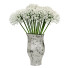 Vase and Bouquet Model 2 - Kudim