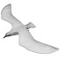 Möwe In Flight - Kudim