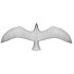 Möwe In Flight - Kudim