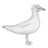 Oiseau Gull - Kudim