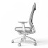 Office Chair Interstuhl JOYCEis3 - Kudim