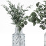 Ramos Colección de plantas 8 - srhtyucel