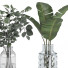 Ramos Colección de plantas 8 - srhtyucel