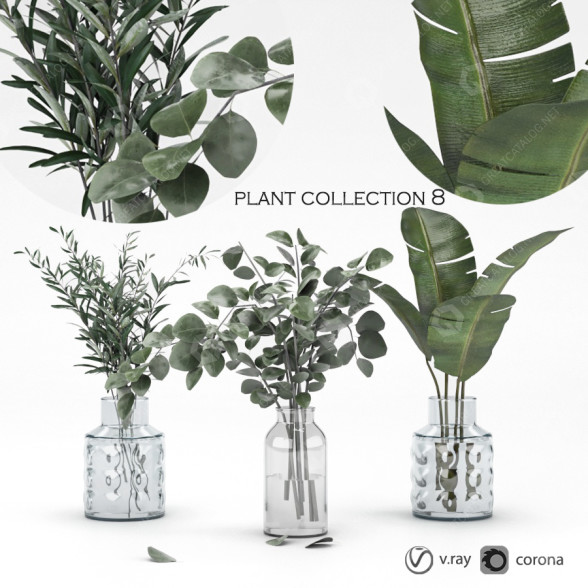 Ramos Colección de plantas 8 Modelo 3D