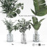 Ramos Colección de plantas 8 - srhtyucel