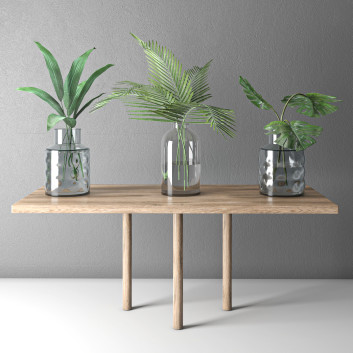 Букети Plant Collection 9 on Stand