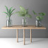 Bouquets Plant Collection 9 on Stand - srhtyucel